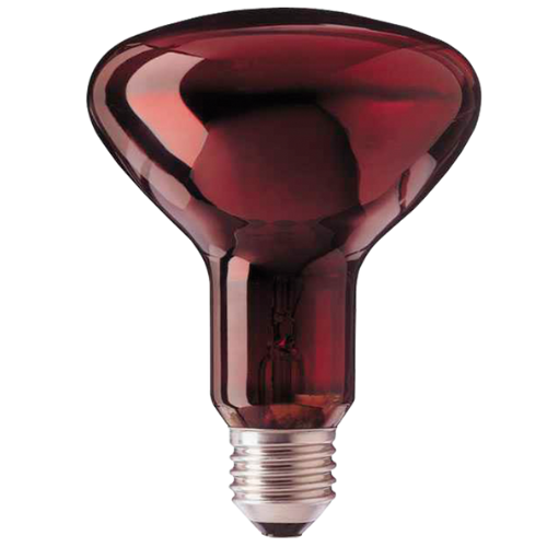 2034_0 LAMPARA INFRARUBIN R125 150W - Imagen 1