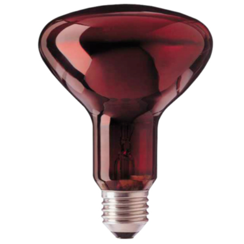 62_13 LAMPARA INFRARUBIN R125 250W - Imagen 1