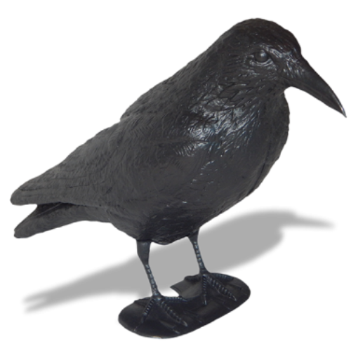 9_72 CUERVO RAVEN - Imagen 1